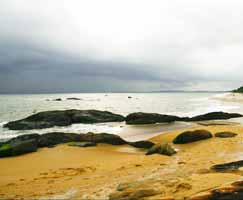 Travel Package Kozhikode