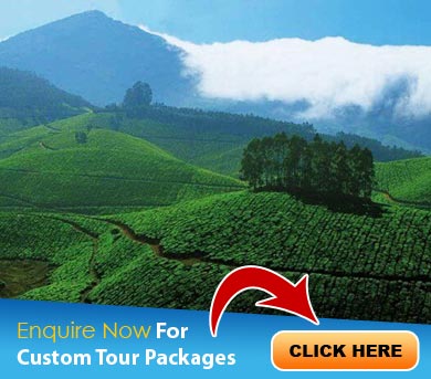 Kozhikode Tour Packages